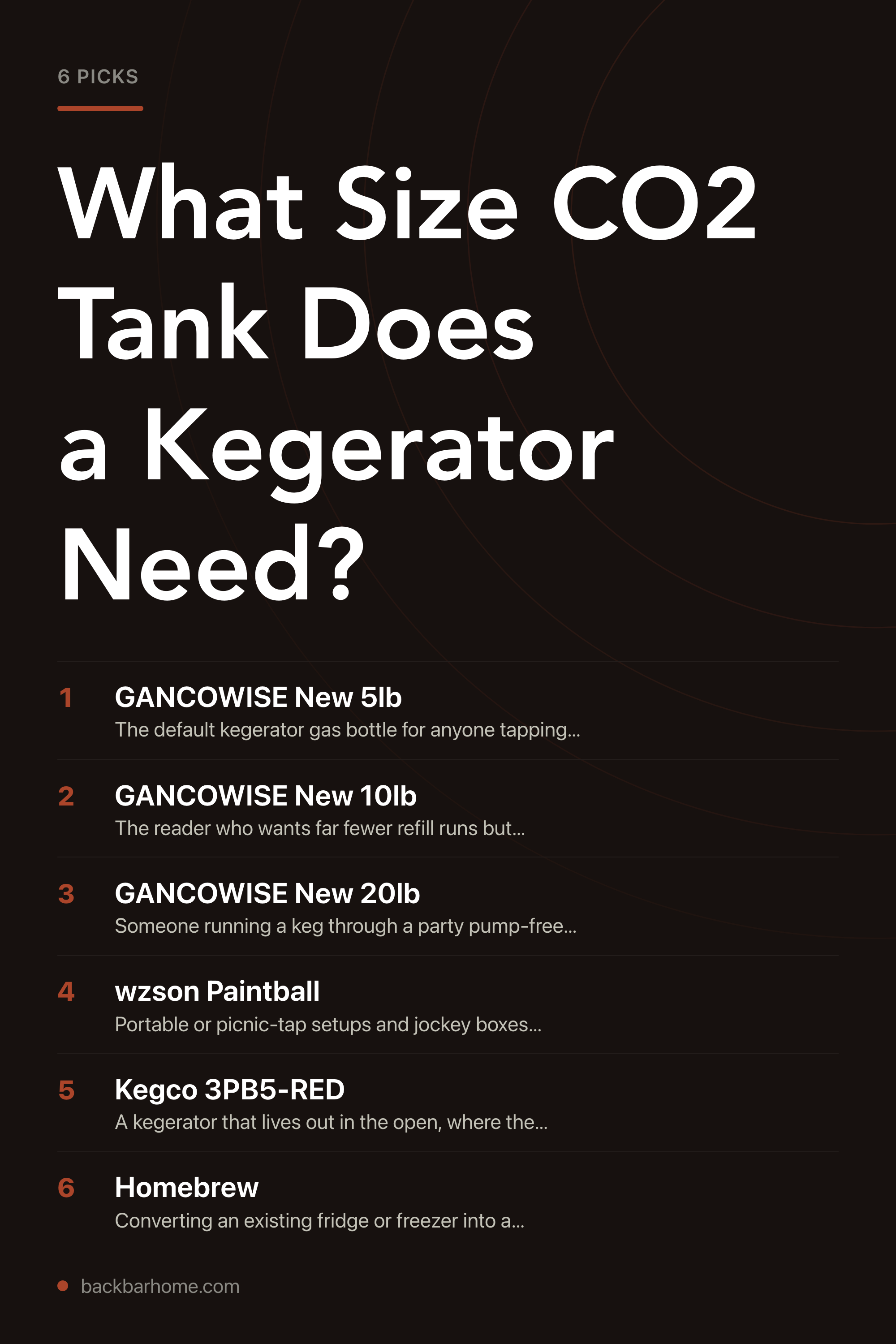 What Size CO2 Tank Does a Kegerator Need? — the picks, as a saveable list
